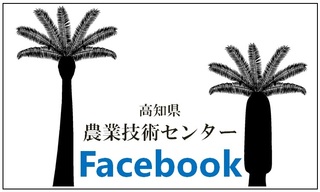 高知県農業技術センターFacebook