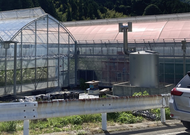 08_高温対策増収.JPG
