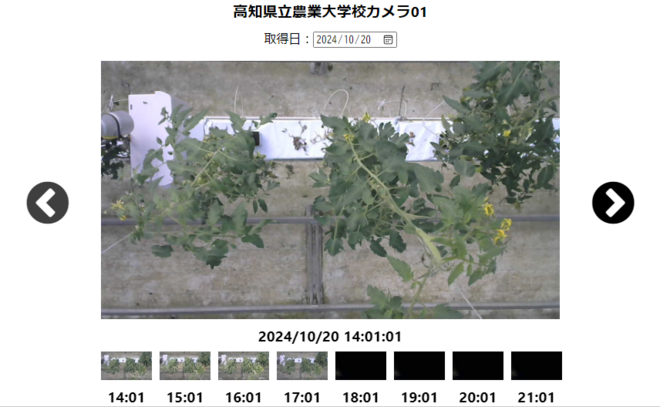 生育状況