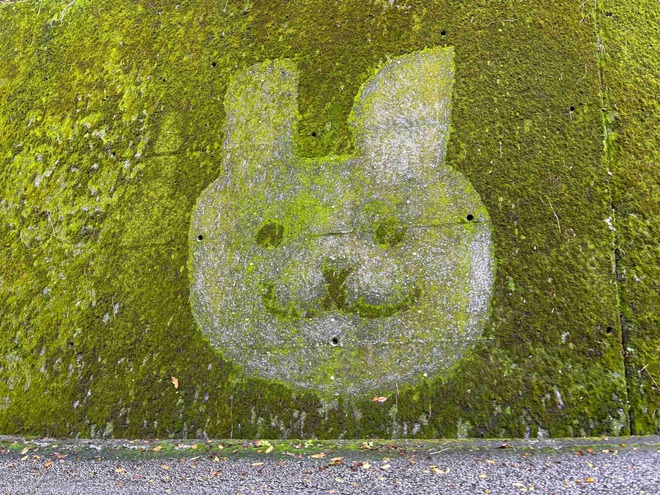 19_怒田苔アート.jpg