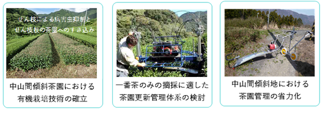 研究紹介