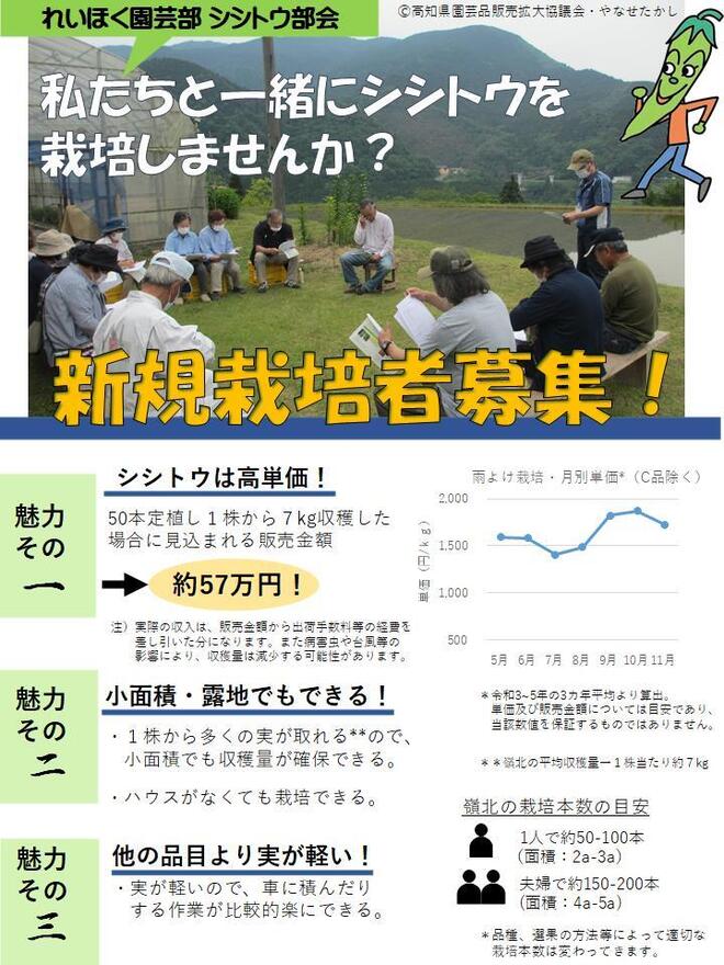 挿入画像①.jpg