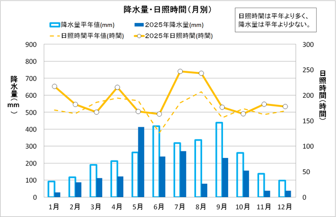 降水量・日照時間（月別）