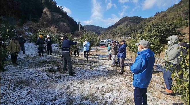 36_ユズ剪定講習会（土佐町）.jpg