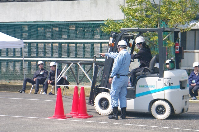 IMGP4519.JPG