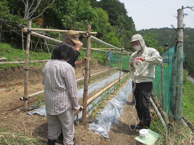 12_シシトウ新規栽培者への現地指導①（井上）.JPG