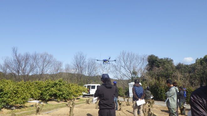 写真２