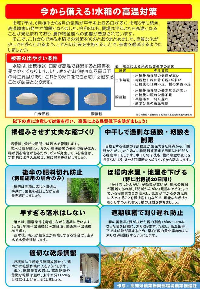 今から備える!水稲の高温対策