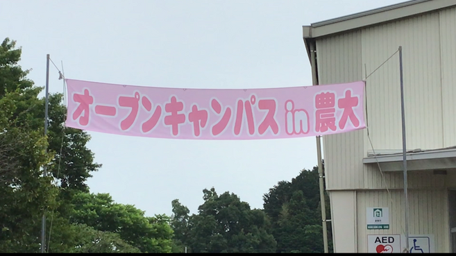 IMG_1814.PNG