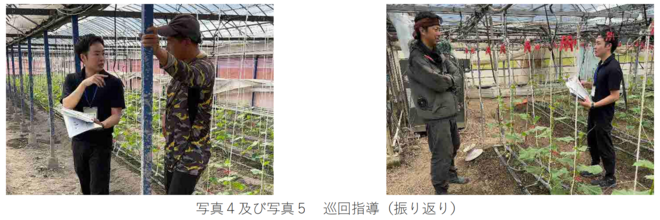 写真4および写真5