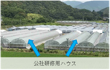 写真１　公社研修用ハウス.png