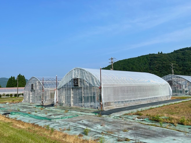雨よけ外部遮光東レ2025　01.jpg