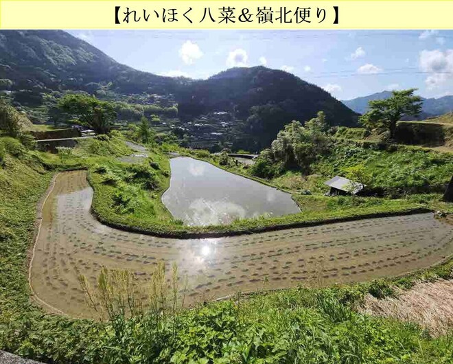 05_大豊町怒田地区の棚田（井上）.jpg