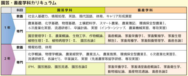 カリキュラム