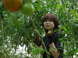 ○野菜.jpg