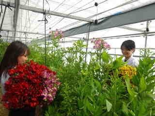 花き専攻