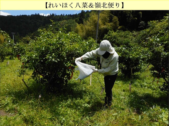 07_写真①.JPG