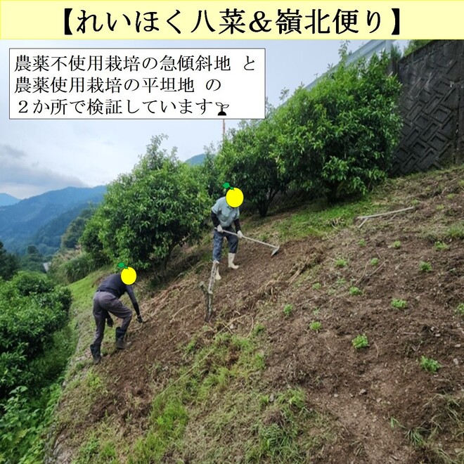 08_写真①.jpg