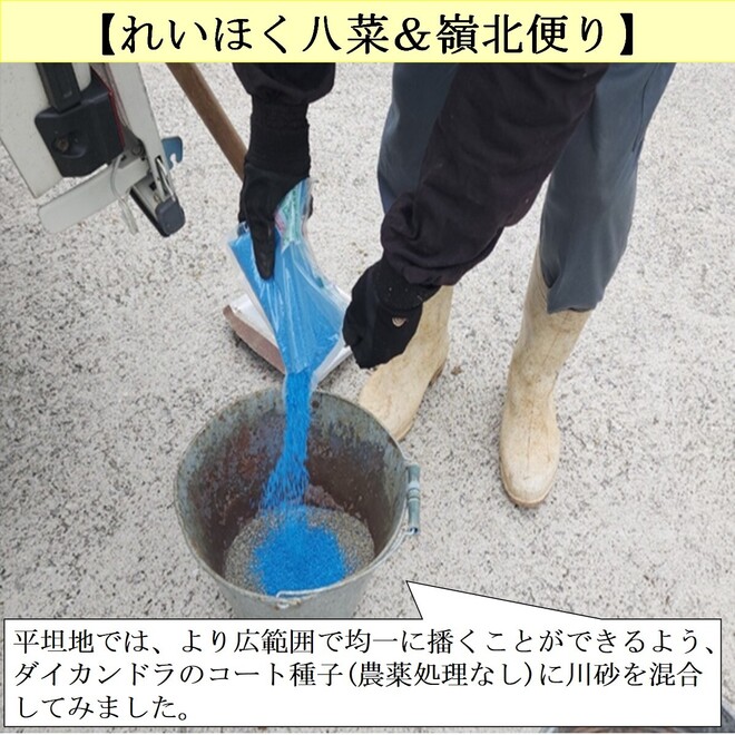 写真２