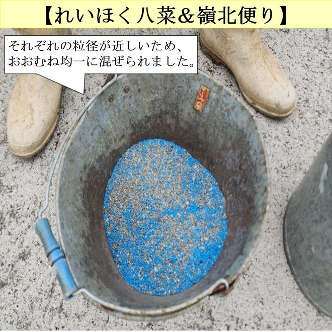 写真３