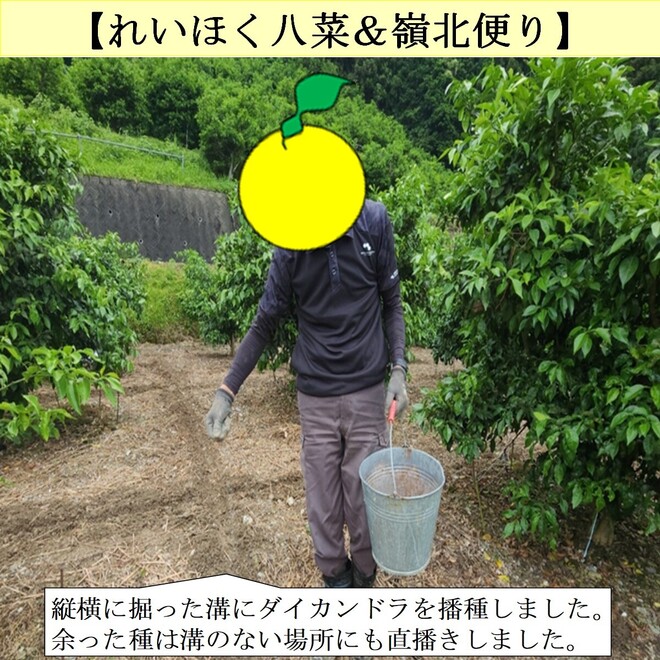 写真４