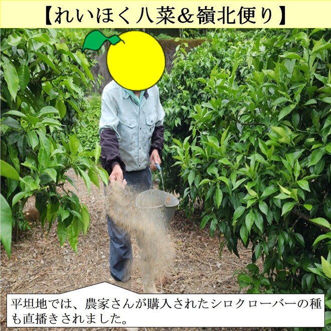写真５