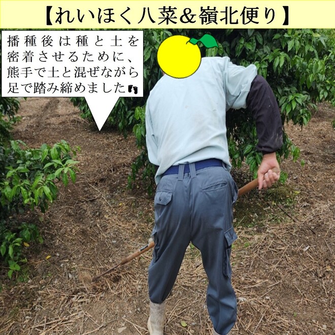 写真６