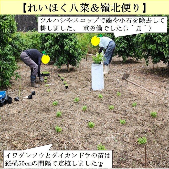 写真７
