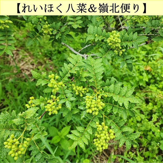 写真１
