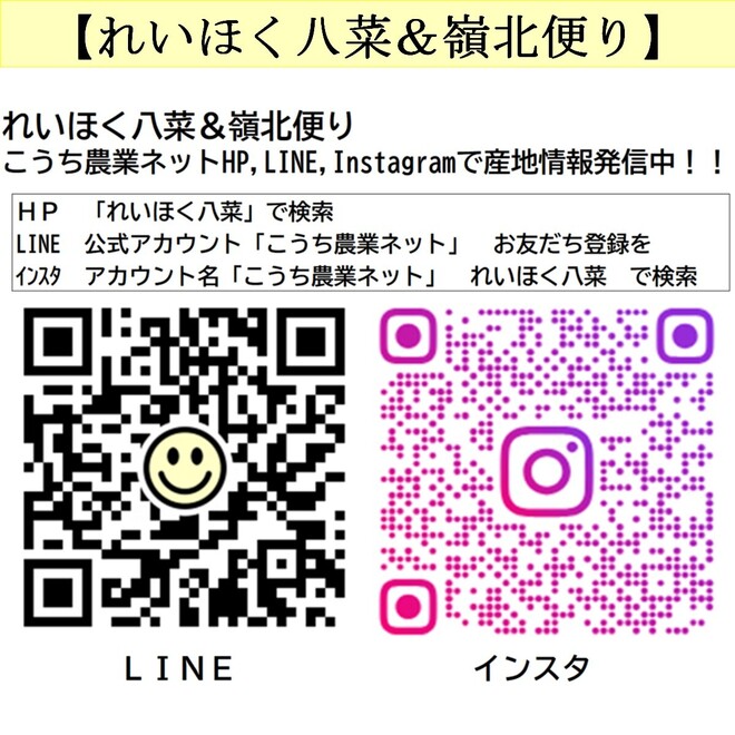 写真１