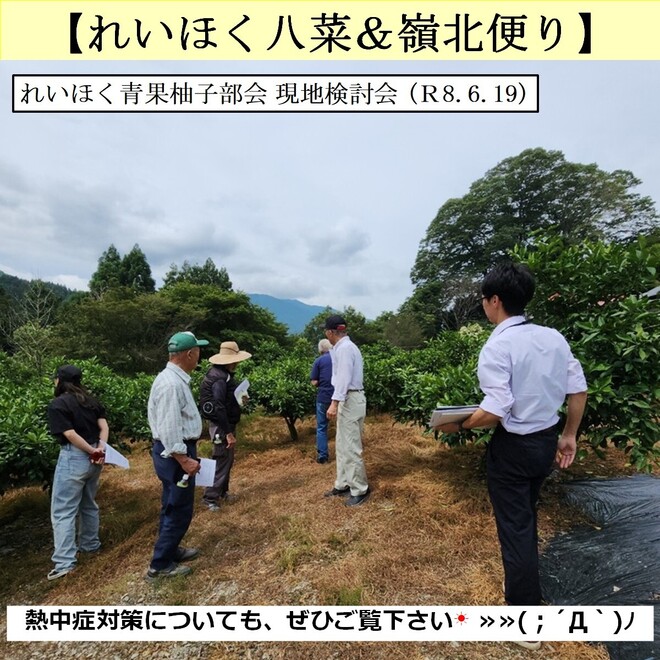 14_写真⓪.jpg