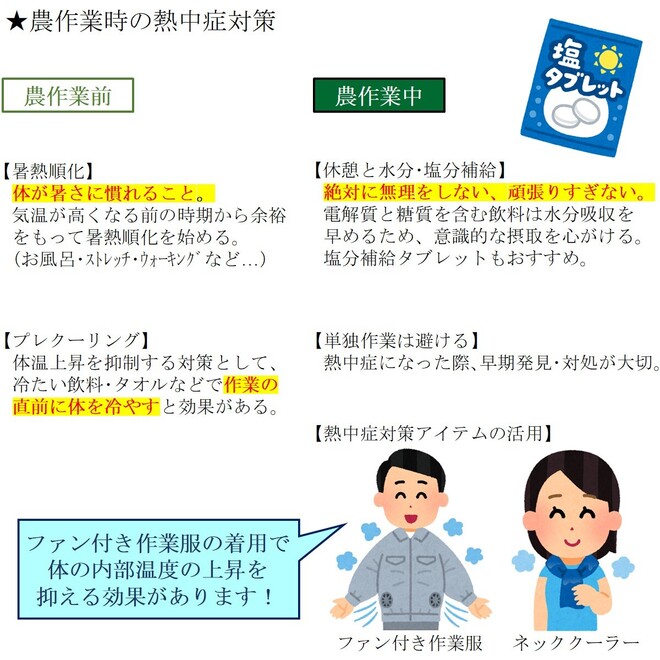 写真３