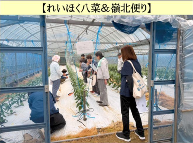 ピーマン現地検討会.png