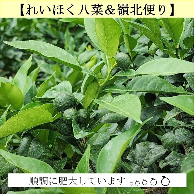 15_写真①.jpg