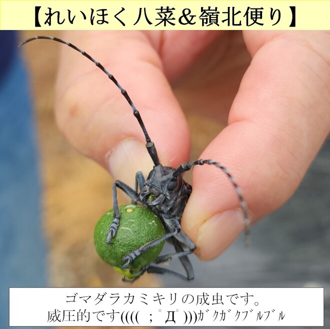 写真２