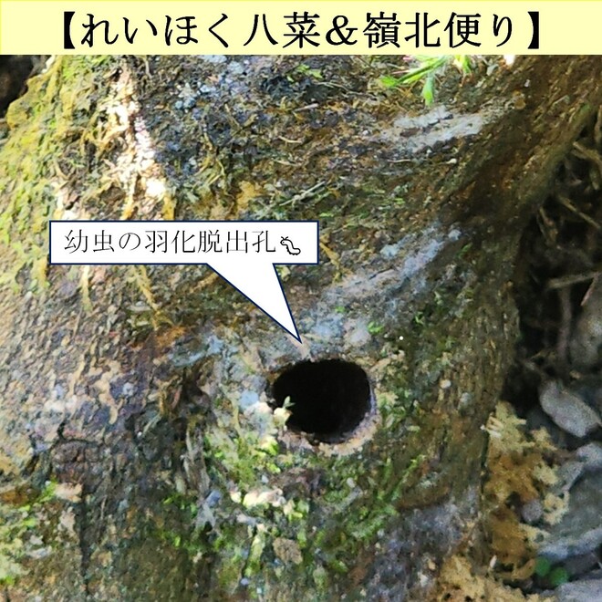 写真３