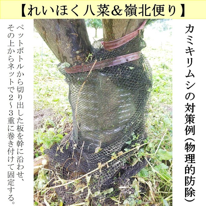 写真４