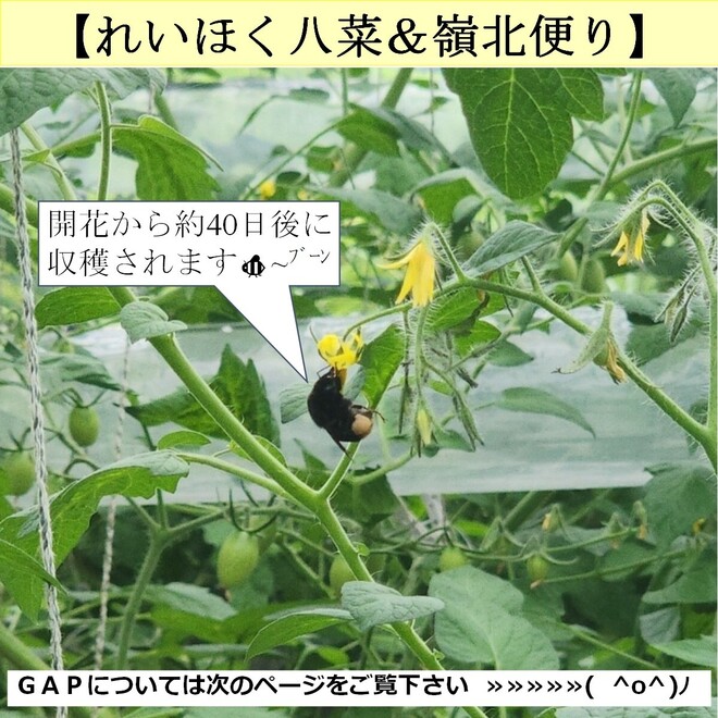 16_写真①.jpg
