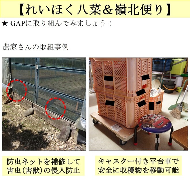 写真５