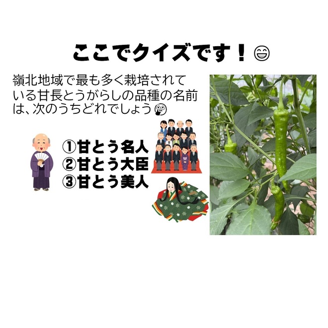 画像２
