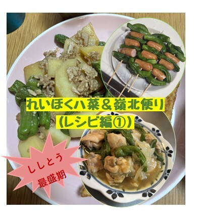 図1.jpg