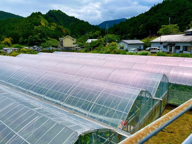 写真5