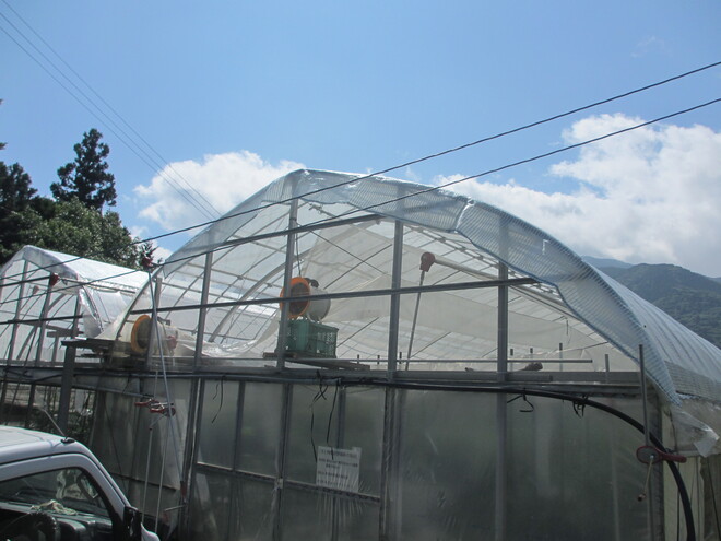 写真6