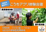 サムネイル.jpg