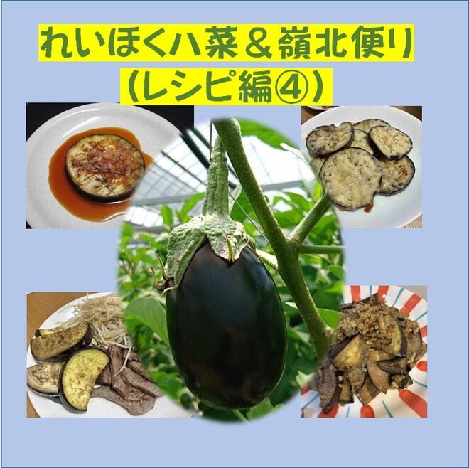 トップ.jpg