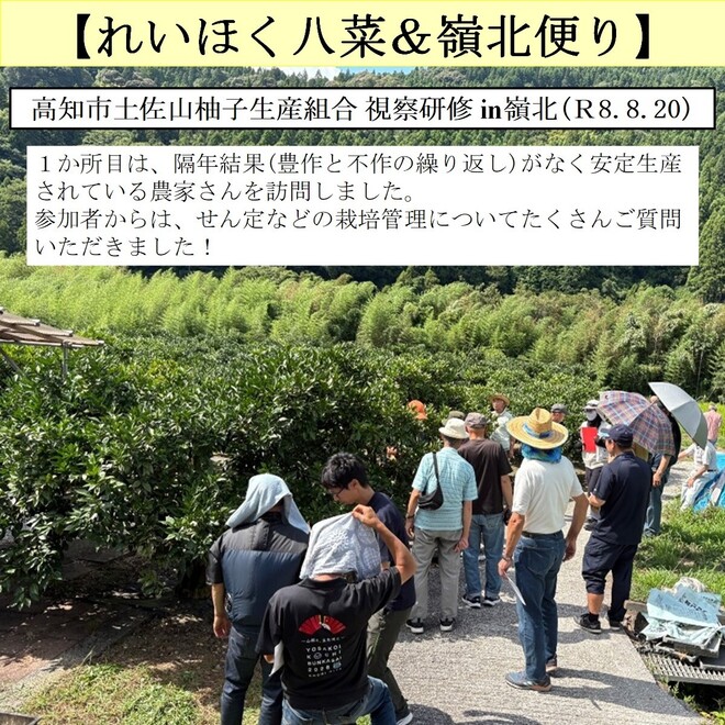 写真１