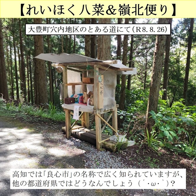 写真２