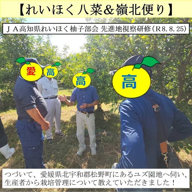 写真２