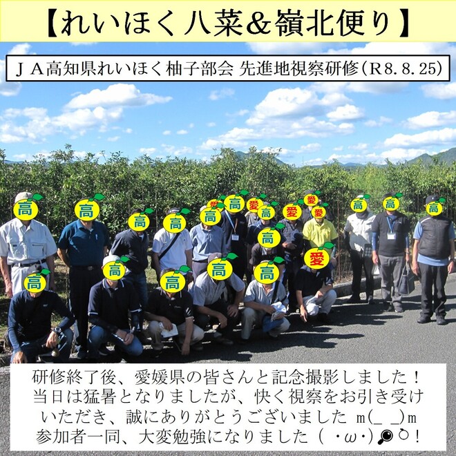 写真３