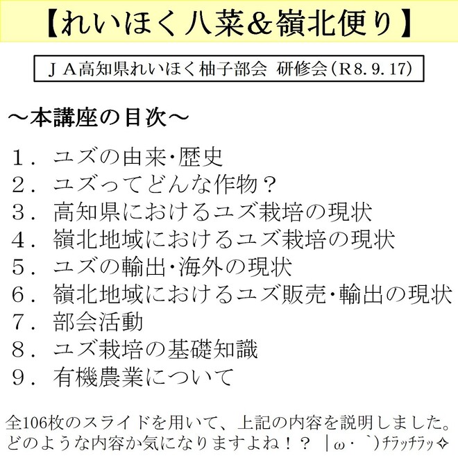 写真２